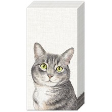 Носни кърпички 10бр Farm Cat екрю